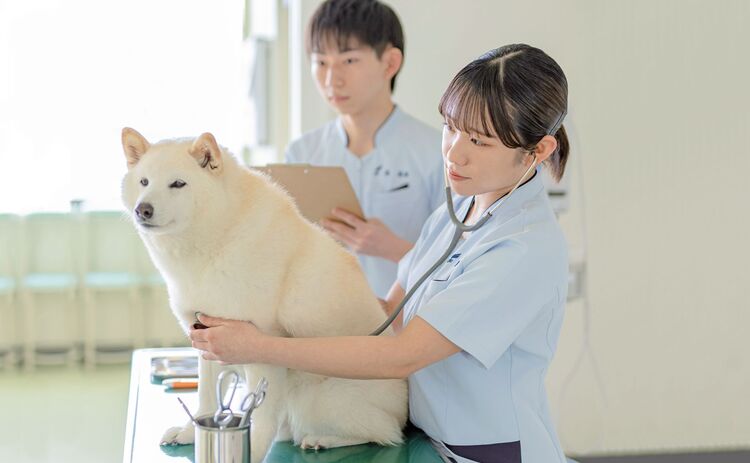 【動物看護総合学科】2024年度オープンキャンパス