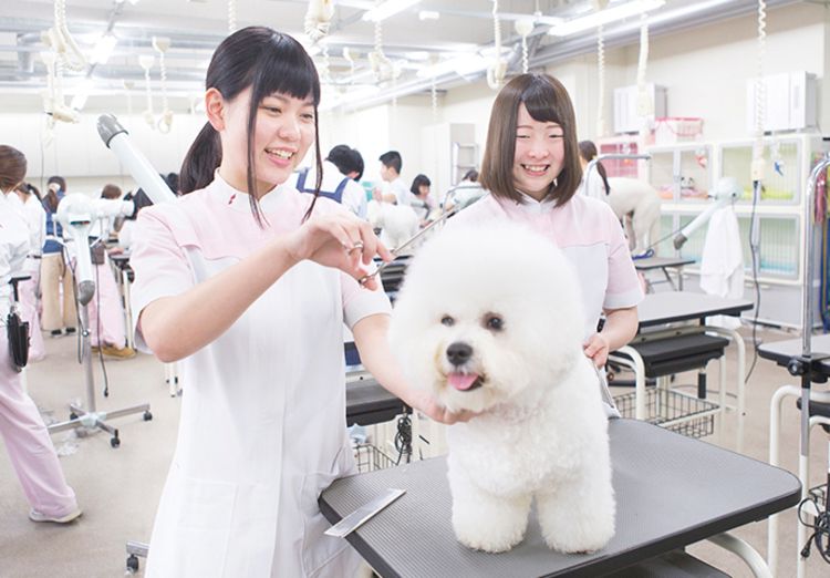 専門学校穴吹動物看護カレッジの情報満載 口コミ 就職など みんなの専門学校情報