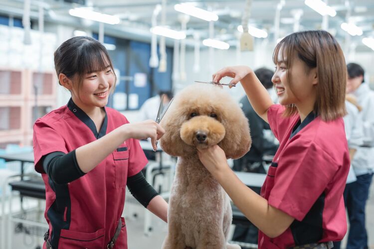 専門学校穴吹動物看護カレッジ画像