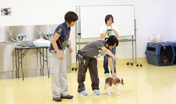 専門学校福岡ビジョナリーアーツ ペット学科 口コミ 学科情報をチェック みんなの専門学校情報