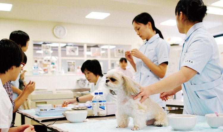 専門学校福岡ビジョナリーアーツの情報満載 口コミ 就職など みんなの専門学校情報