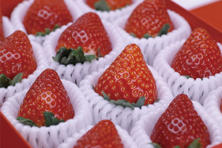 キャリナリー福岡ホテル・ウェディング＆製菓調理専門学校画像