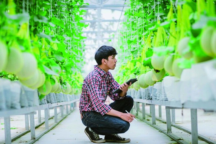 キャリナリー福岡ホテル・ウェディング＆製菓調理専門学校画像