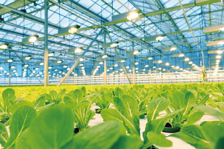 キャリナリー福岡ホテル・ウェディング＆製菓調理専門学校画像