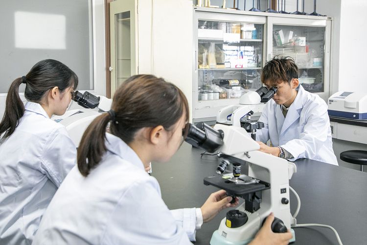 九州医学技術専門学校画像