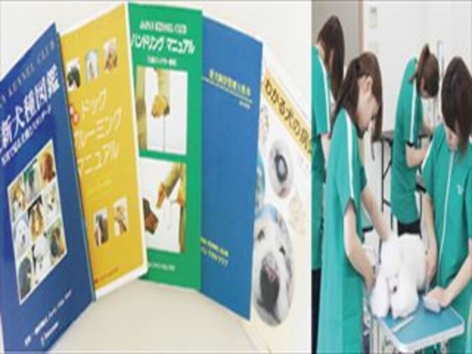 大分ドッググルーミング専門学校