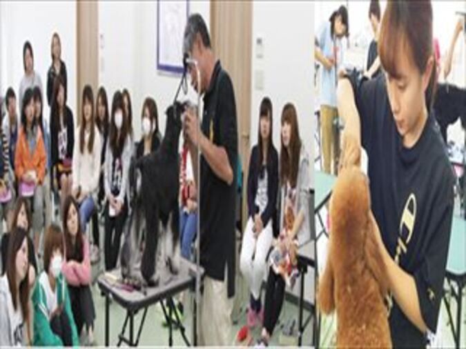 大分ドッググルーミング専門学校