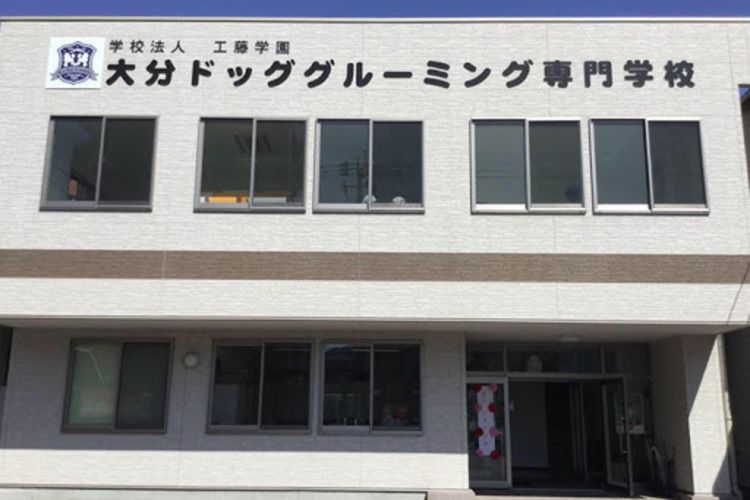 大分ドッググルーミング専門学校画像