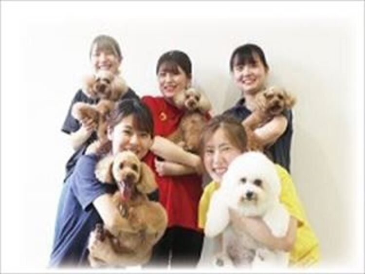 大分ドッググルーミング専門学校画像