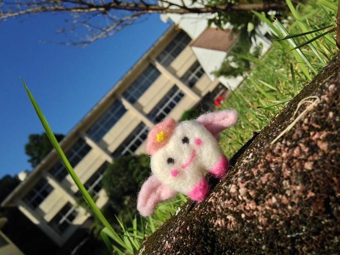 大分県歯科技術専門学校