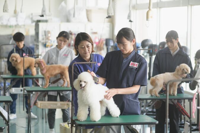 国際 人気 ペット ワールド 専門 学校 口コミ