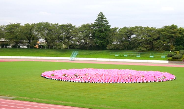 藤村女子高校 東京都 の情報 偏差値 口コミなど みんなの高校情報