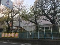 東京都品川区 幼稚園人気ベスト50 幼稚園先生ランキング みんなの幼稚園 保育園情報