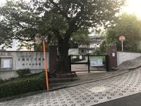 東京都大田区 幼稚園人気ベスト50 幼稚園総合ランキング みんなの幼稚園 保育園情報