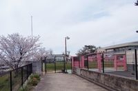 賢明学院幼稚園の情報 堺市堺区 口コミ 保育内容 みんなの幼稚園情報