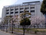 大阪市立咲くやこの花高等学校