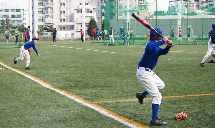 成城中学 新宿区 偏差値 学校教育情報 みんなの中学校情報