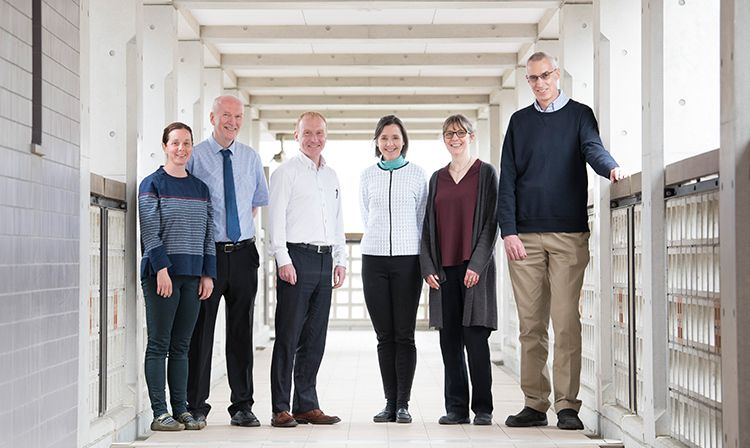 アレセイア湘南中学 茅ヶ崎市 偏差値 学校教育情報 みんなの中学校情報