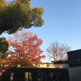 山本高等学校外観画像