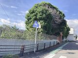 横浜富士見丘学園高等学校外観画像