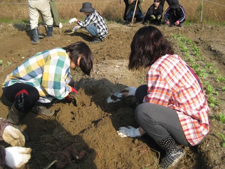 ひまわり幼児教育専門学院画像