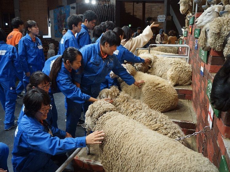 埼玉動物海洋専門学校画像