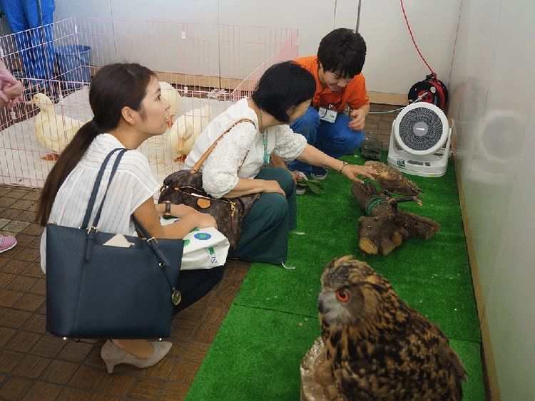埼玉動物海洋専門学校画像