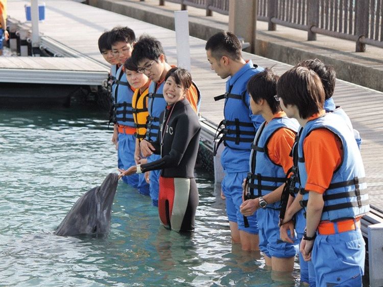 埼玉動物海洋専門学校画像