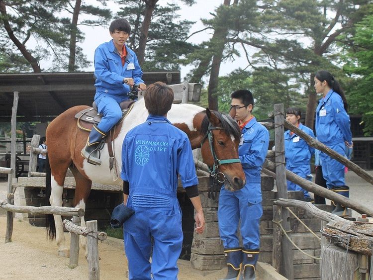 埼玉動物海洋専門学校画像
