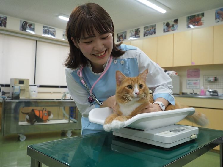 大阪ｅｃｏ動物海洋専門学校の情報満載 口コミ 就職など みんなの専門学校情報