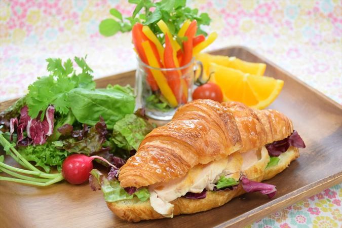 大阪農業園芸・食テクノロジー専門学校