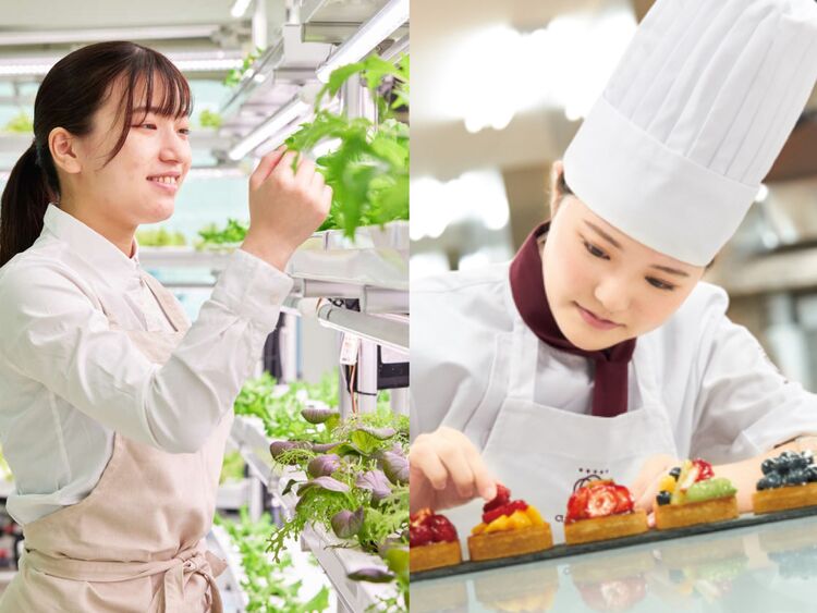 大阪農業園芸・食テクノロジー専門学校画像