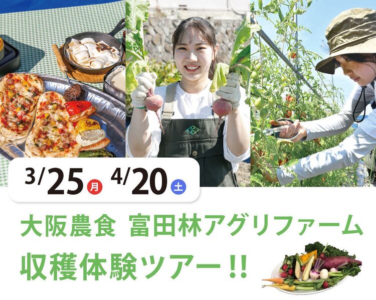 大阪農食 富田林アグリファーム 収穫体験＆食材セミナー