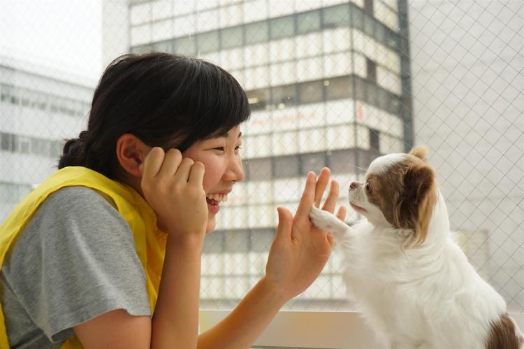 東京ブレーメン動物専門学校画像