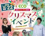 【高1・2年生限定】★☆クリスマスイベント☆★【ドッグトレーナー体験】