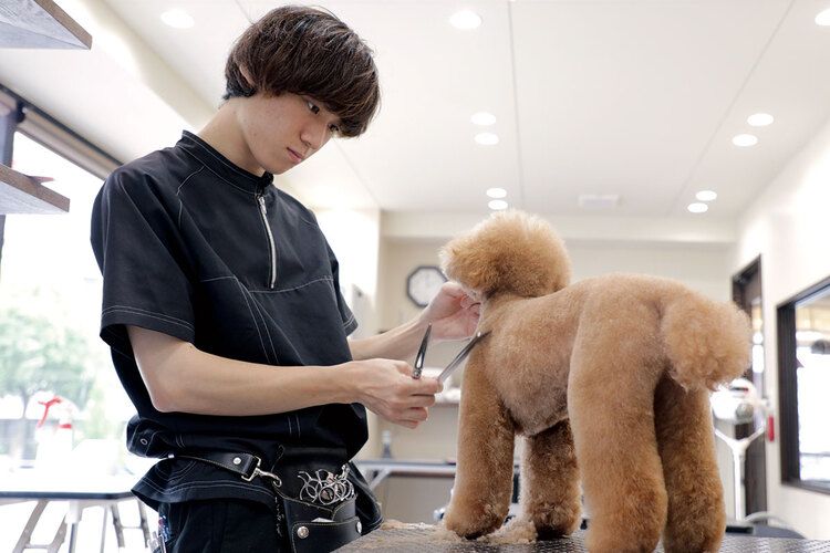 エコ・コミュニケーション科 (名古屋ECO動物海洋専門学校)の情報 学校選びは【みん専】 エコ・コミュニケーション科 (名古屋ECO動物海洋専門学校)の情報 学校選びは【みん専】