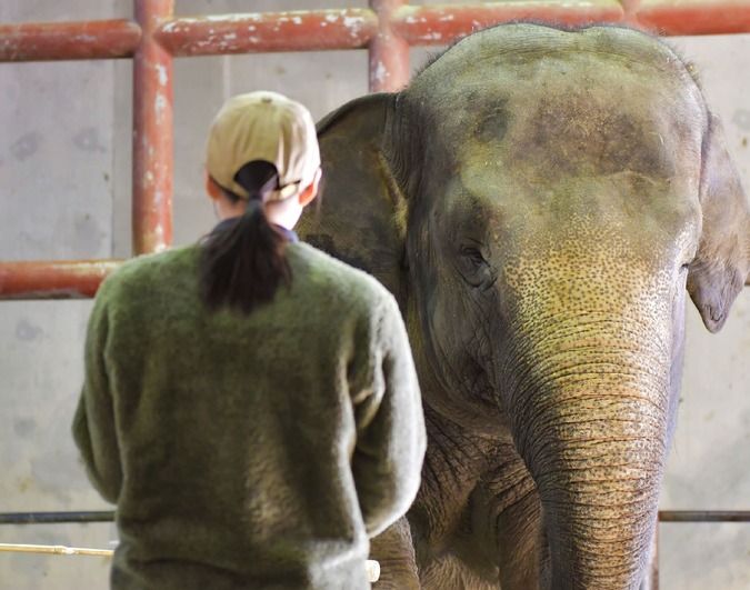 中央動物看護専門学校