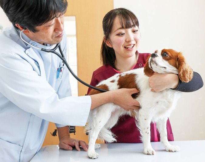 中央動物看護専門学校