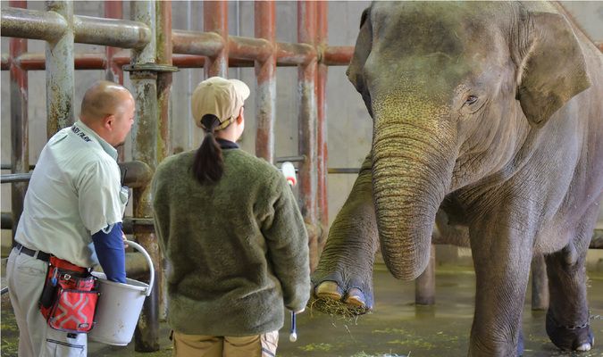 中央動物看護専門学校
