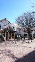 専修大学松戸中学 松戸市 偏差値 学校教育情報 みんなの中学校情報