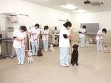 信州松本動物専門学校　※２０２４年４月設置予定