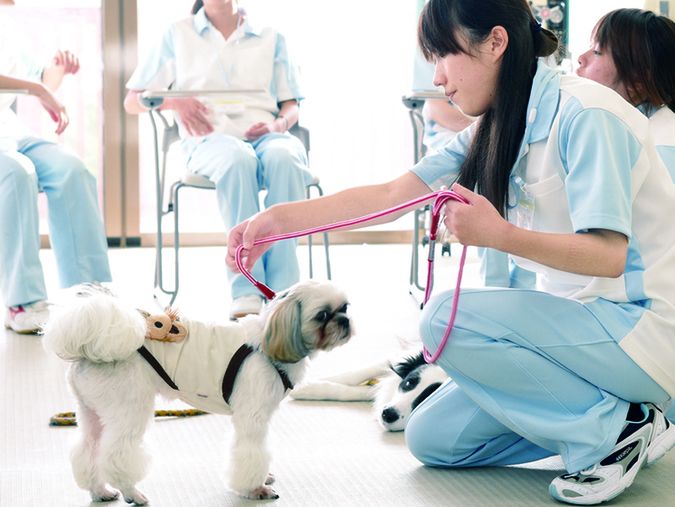 信州松本動物専門学校