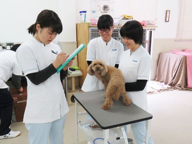 信州松本動物専門学校