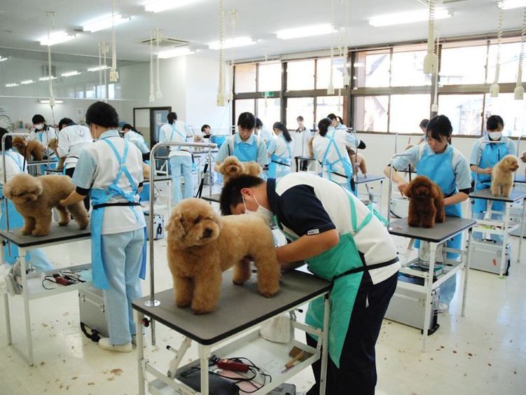 信州松本動物専門学校画像