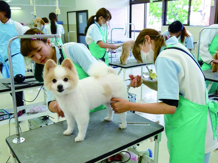 信州松本動物専門学校画像