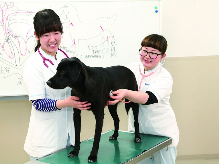 信州松本動物専門学校画像
