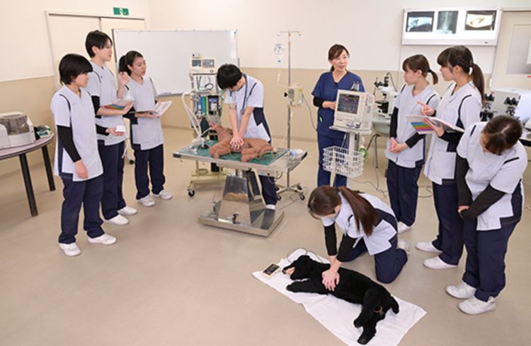 信州松本動物専門学校画像