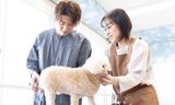 新潟ペット動物専門学校